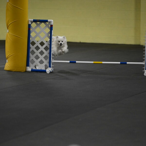 Zoey-Schneider-14480