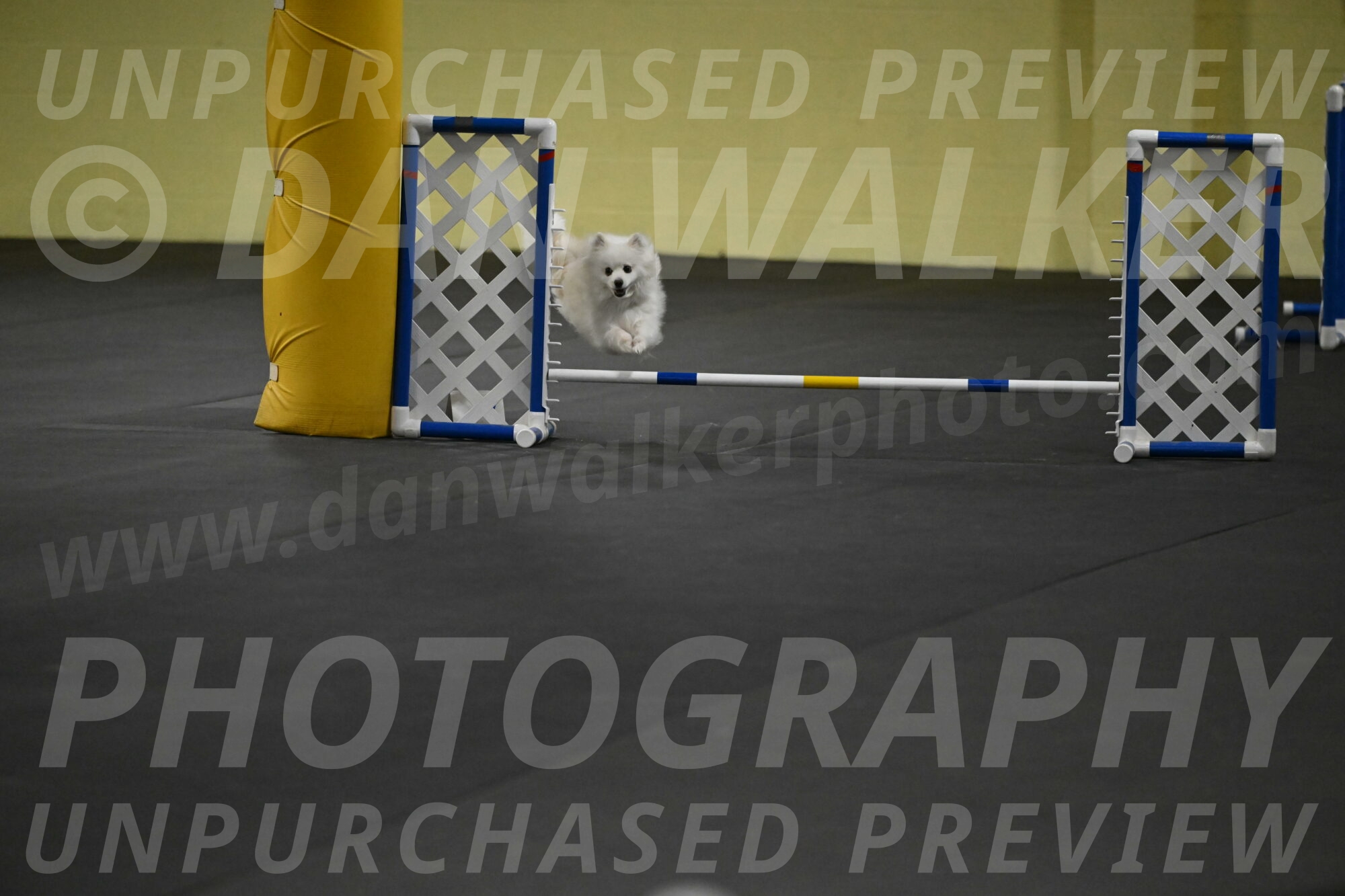 Zoey-Schneider-14481