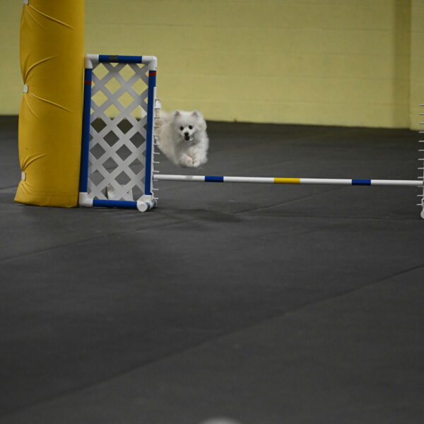 Zoey-Schneider-14481