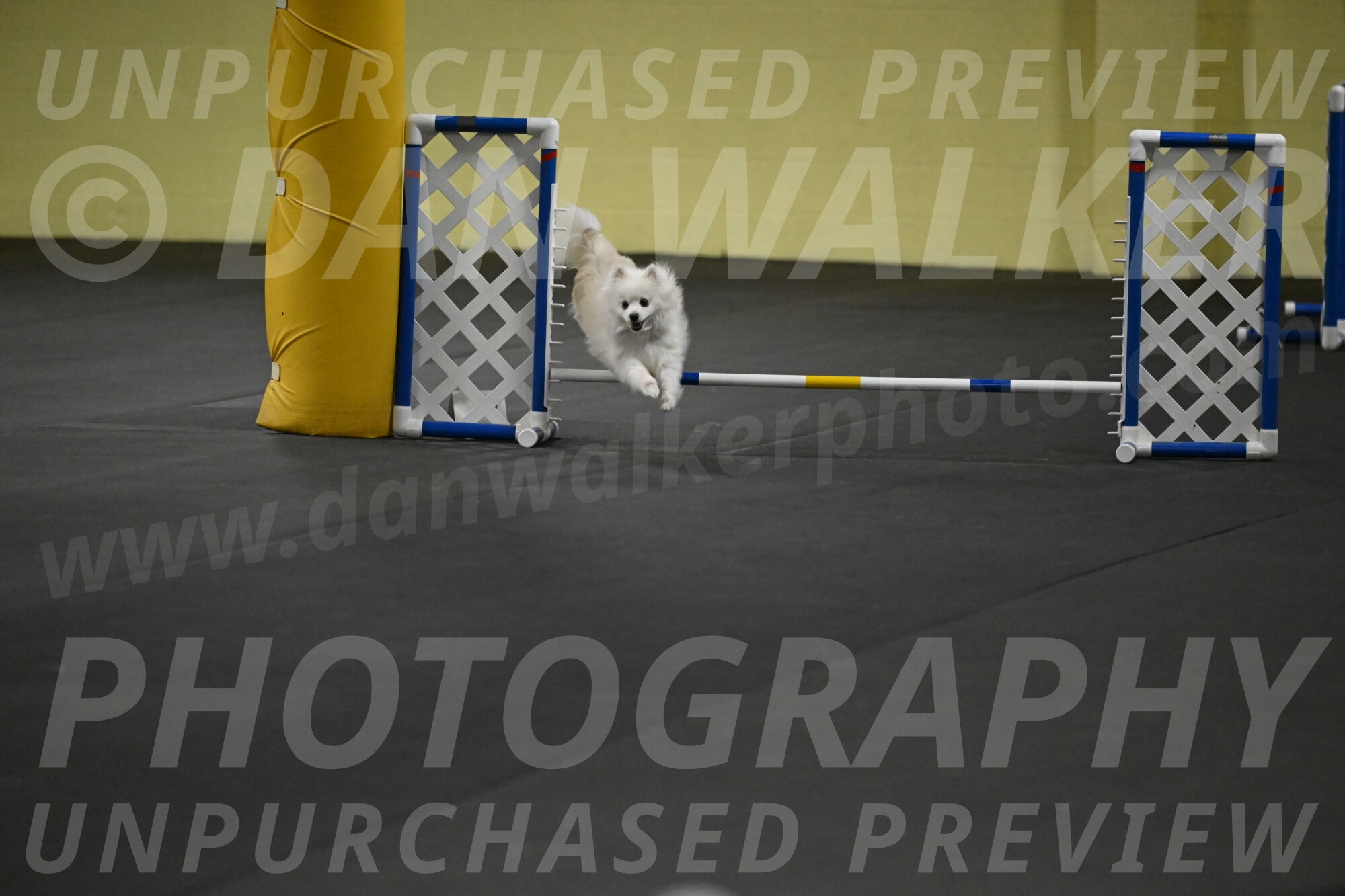 Zoey-Schneider-14482