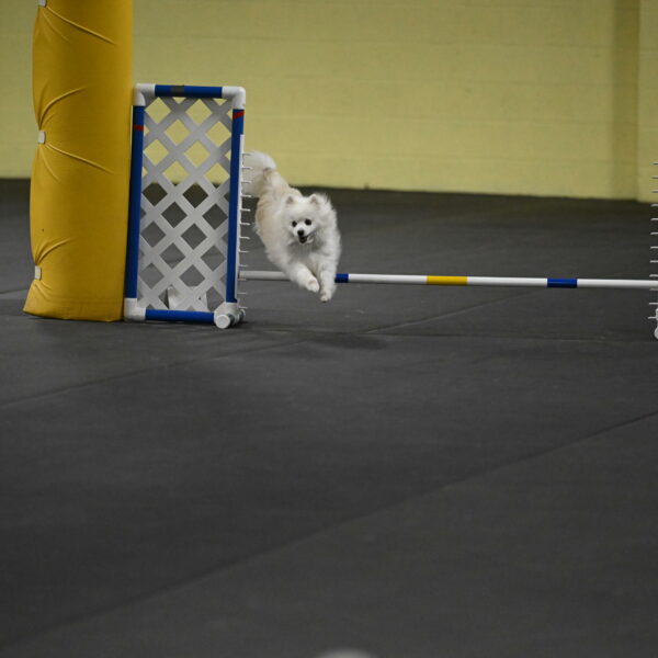 Zoey-Schneider-14482