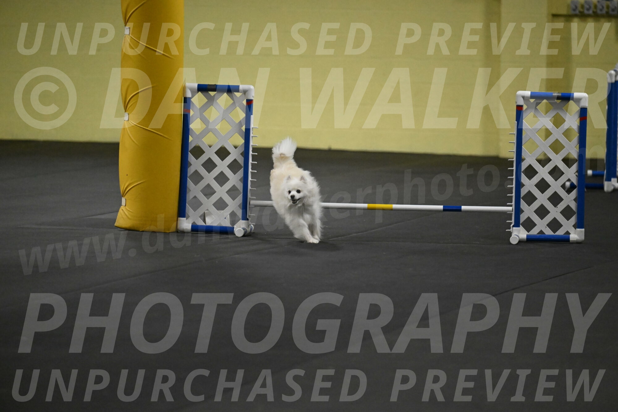 Zoey-Schneider-14483