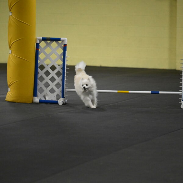 Zoey-Schneider-14483