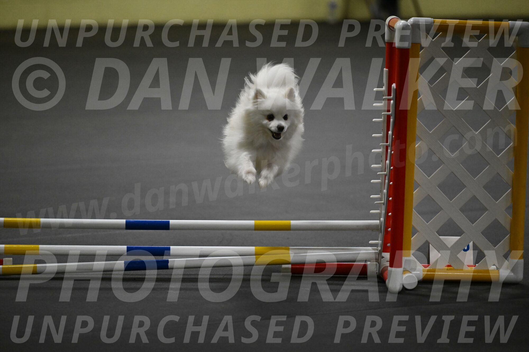 Zoey-Schneider-14492