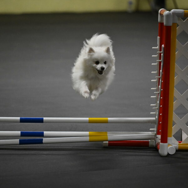 Zoey-Schneider-14492