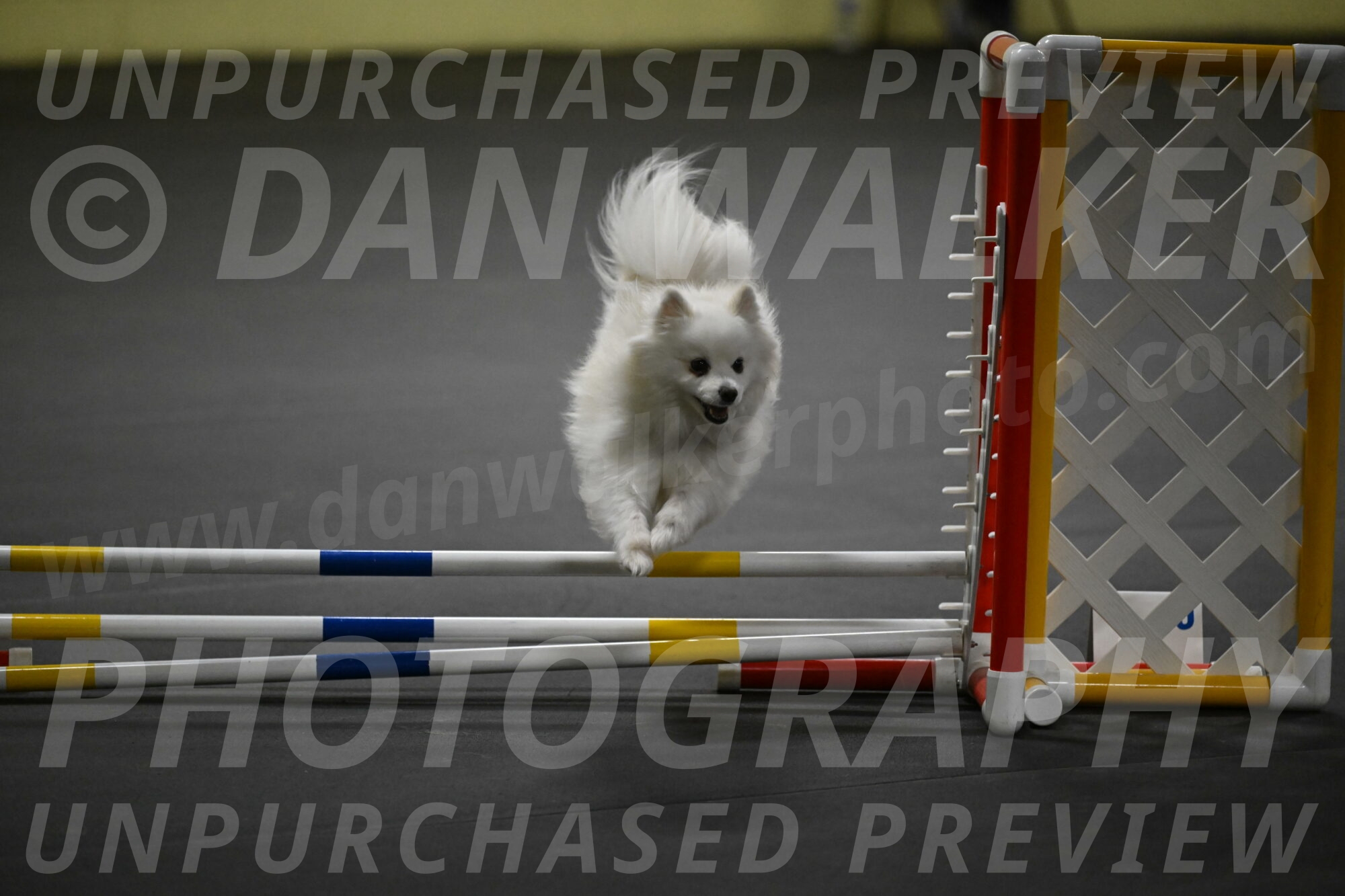 Zoey-Schneider-14493