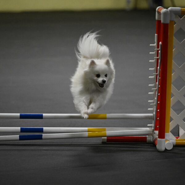 Zoey-Schneider-14493