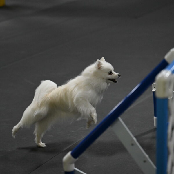 Zoey-Schneider-14499