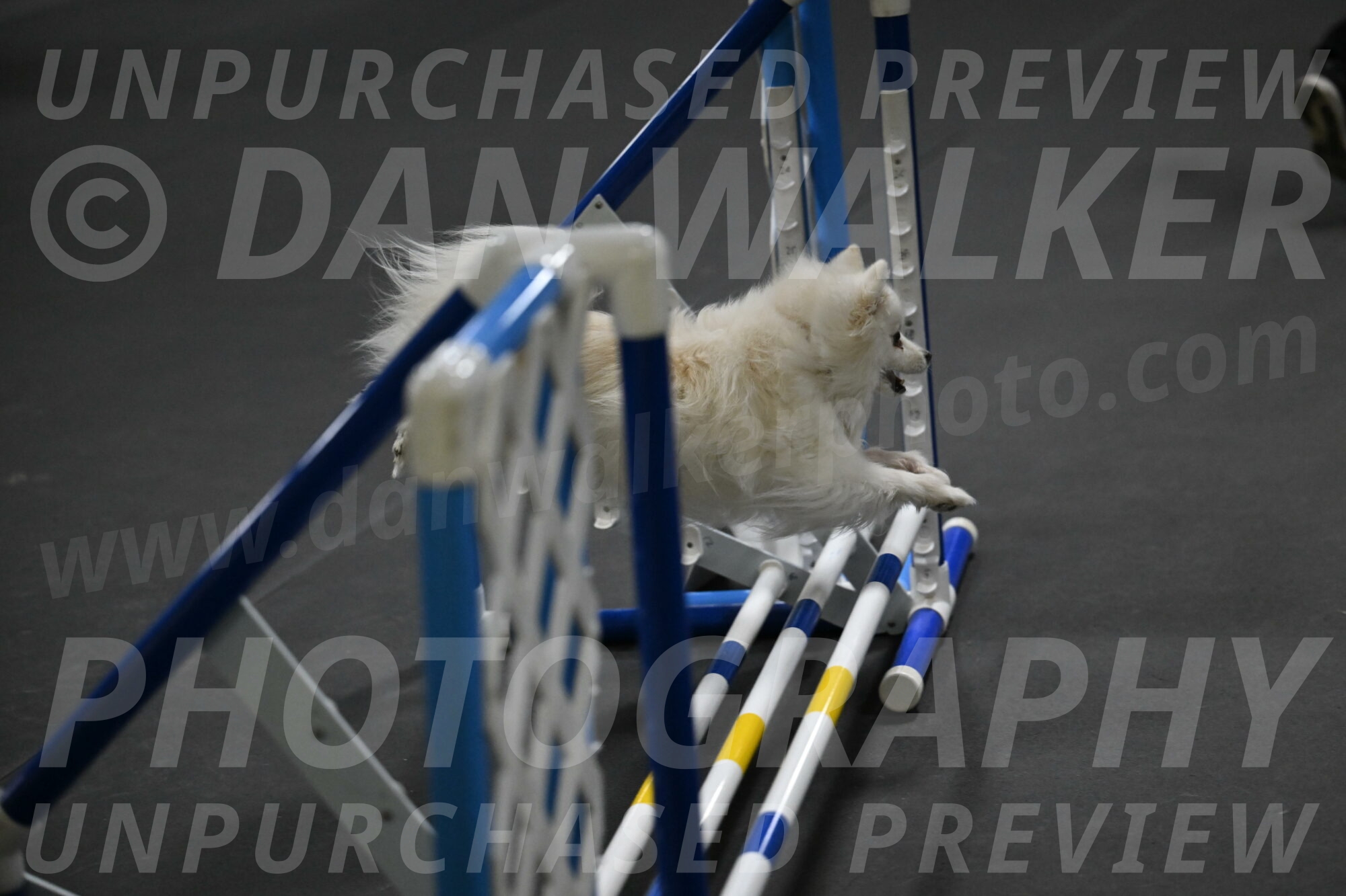 Zoey-Schneider-14502