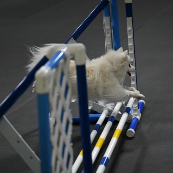 Zoey-Schneider-14502