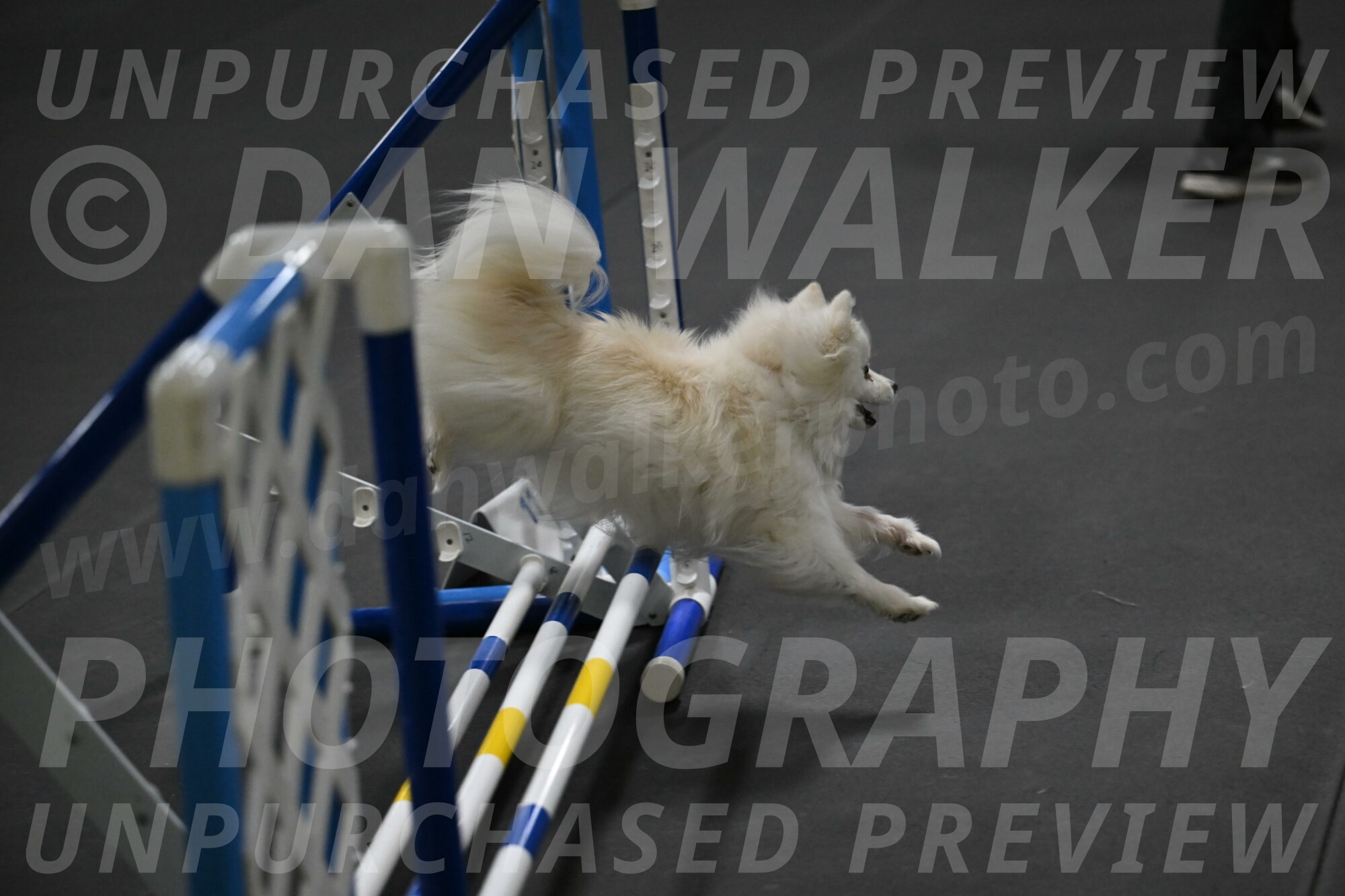 Zoey-Schneider-14503