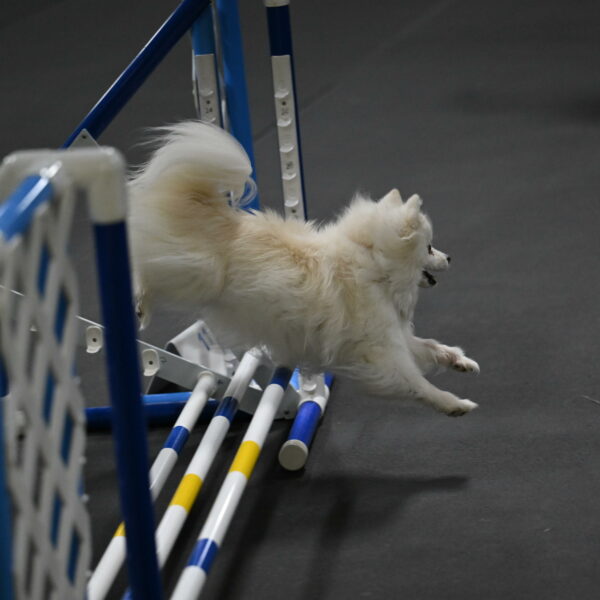 Zoey-Schneider-14503