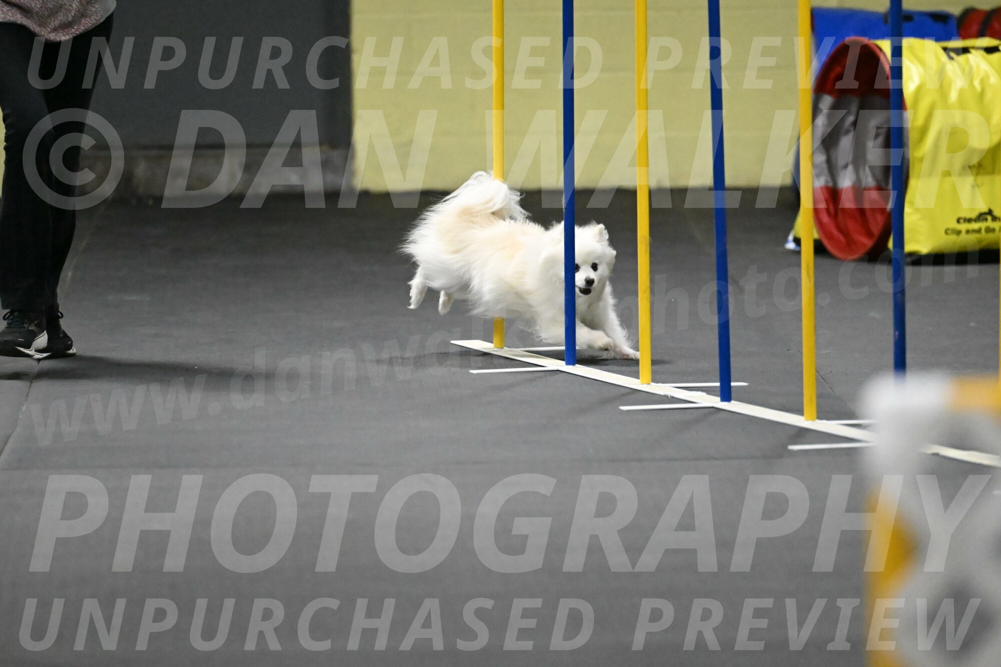 Zoey-Schneider-14504