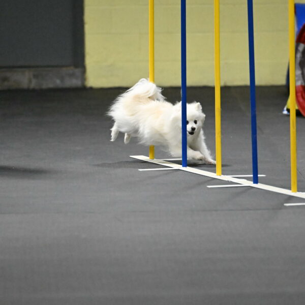 Zoey-Schneider-14504