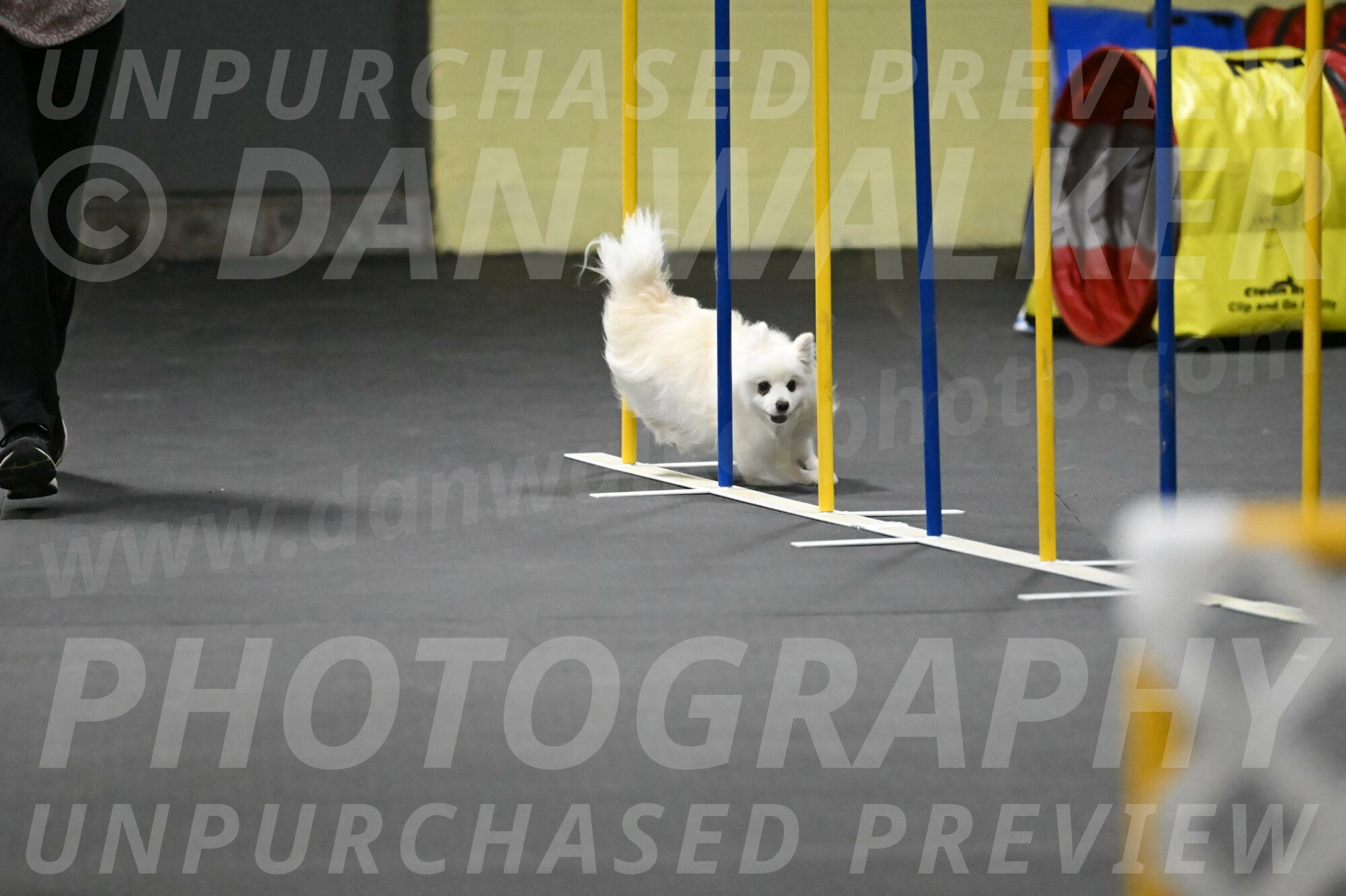 Zoey-Schneider-14505