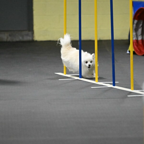 Zoey-Schneider-14505