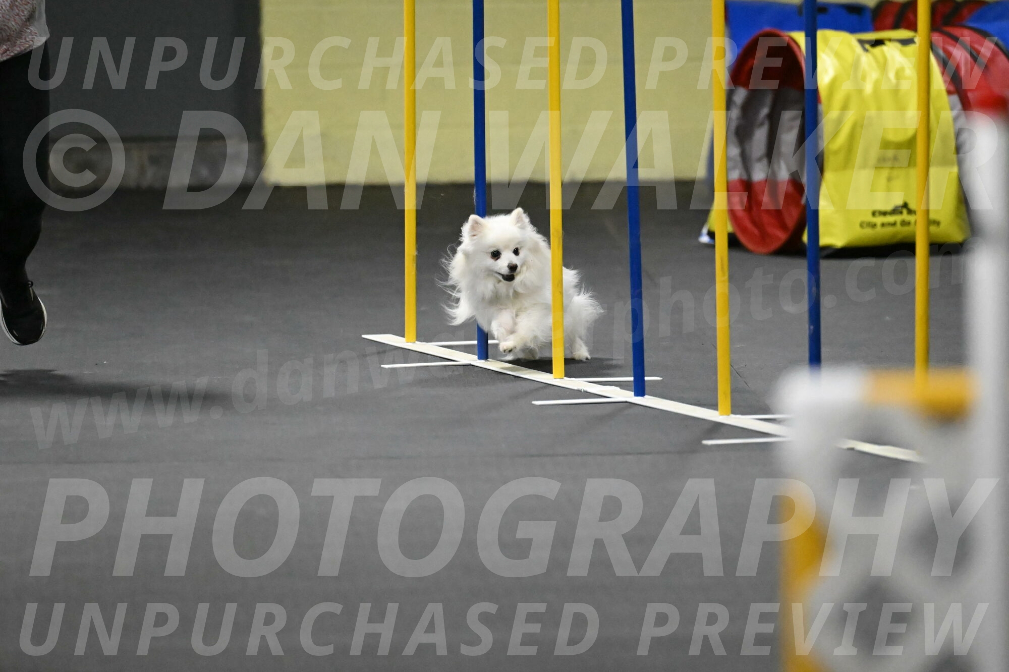 Zoey-Schneider-14506