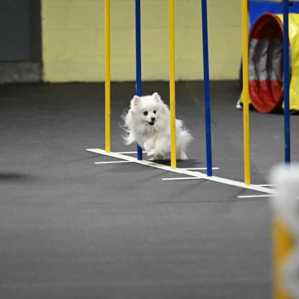 Zoey-Schneider-14506