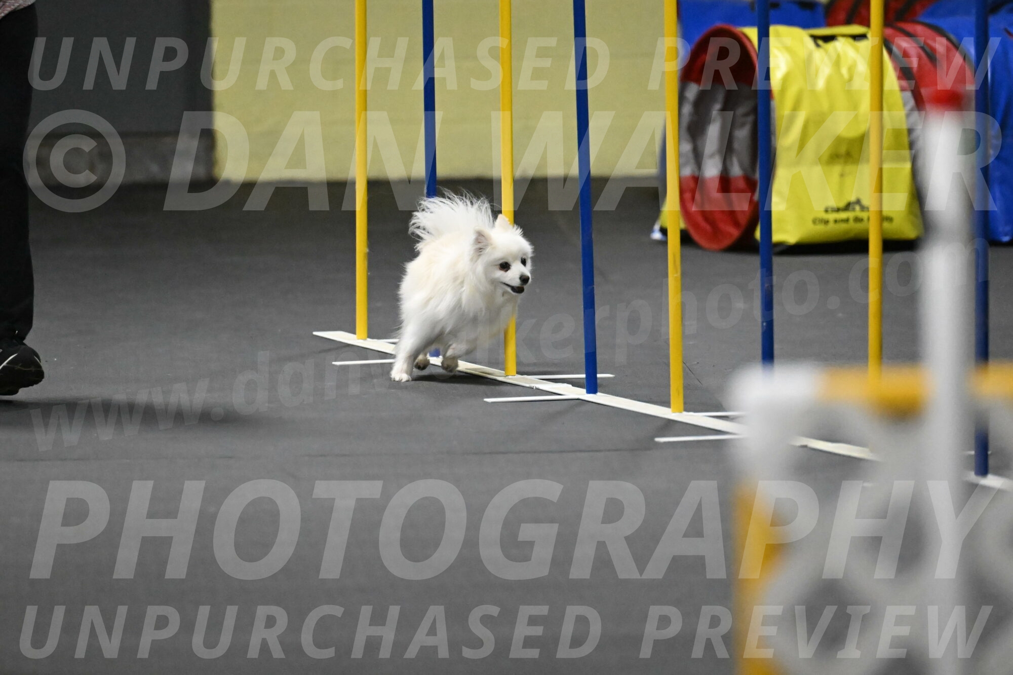 Zoey-Schneider-14507