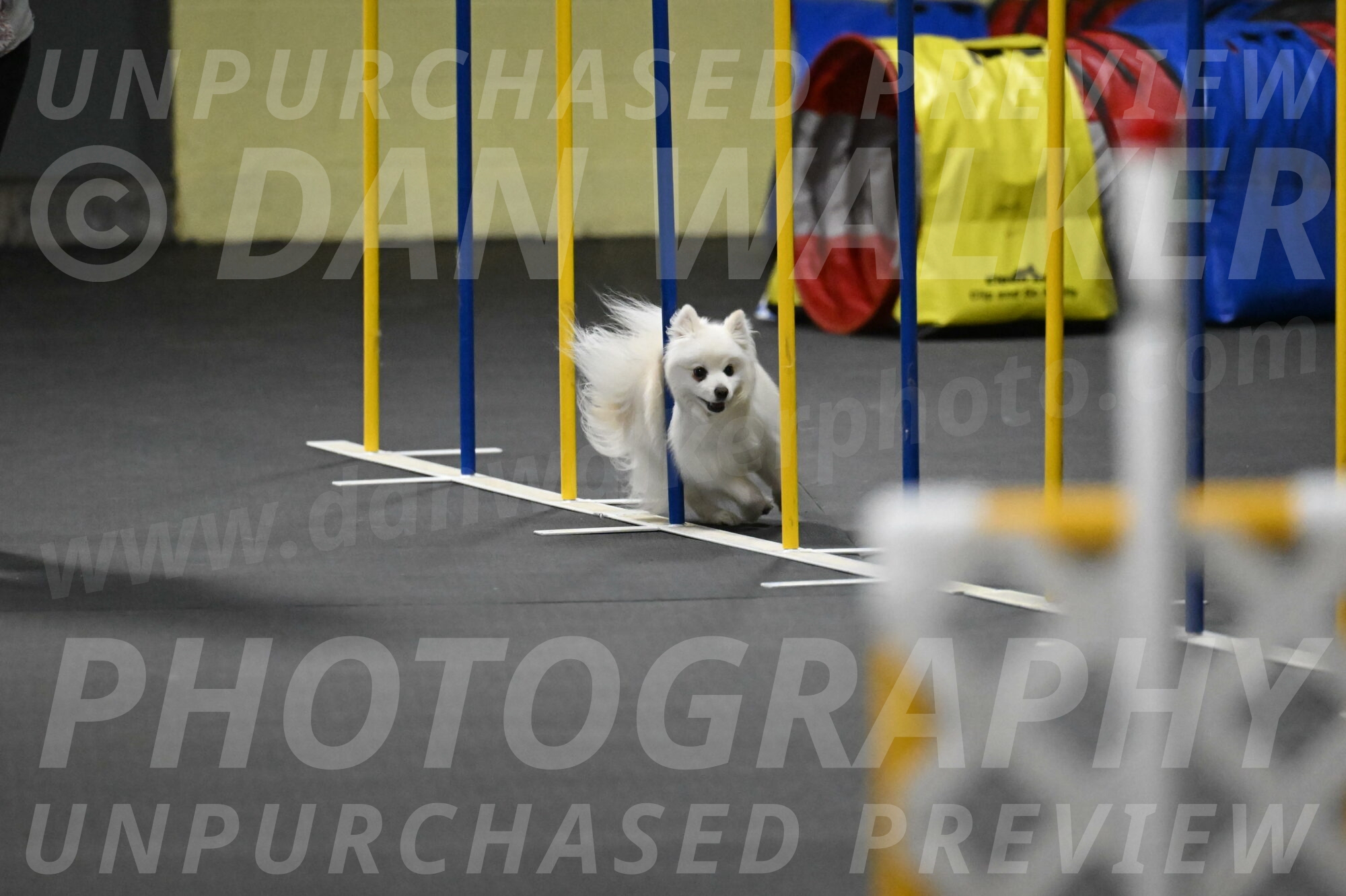 Zoey-Schneider-14509