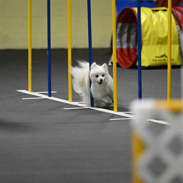 Zoey-Schneider-14509