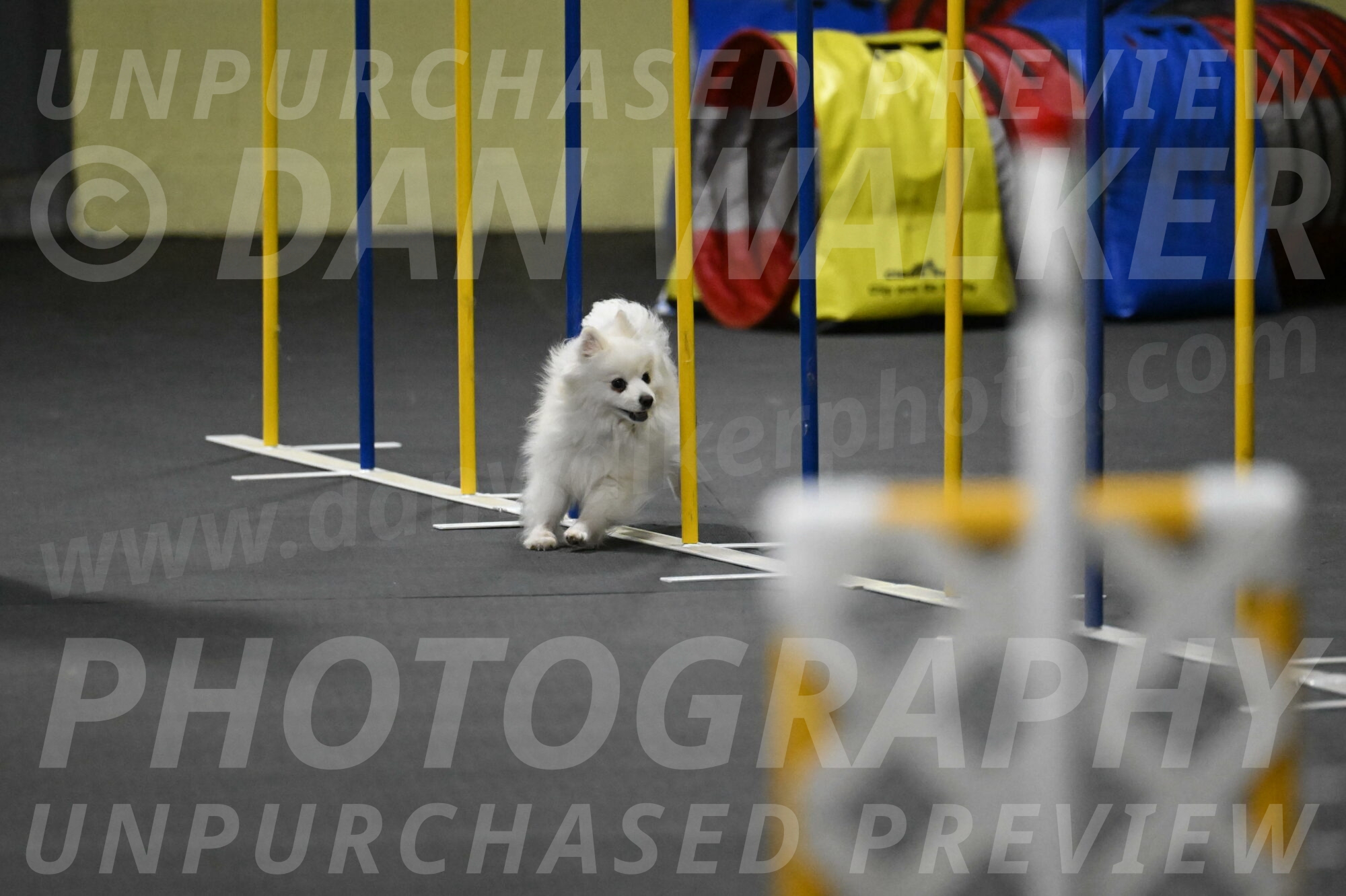 Zoey-Schneider-14511