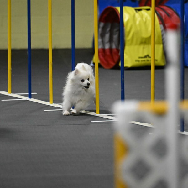 Zoey-Schneider-14511