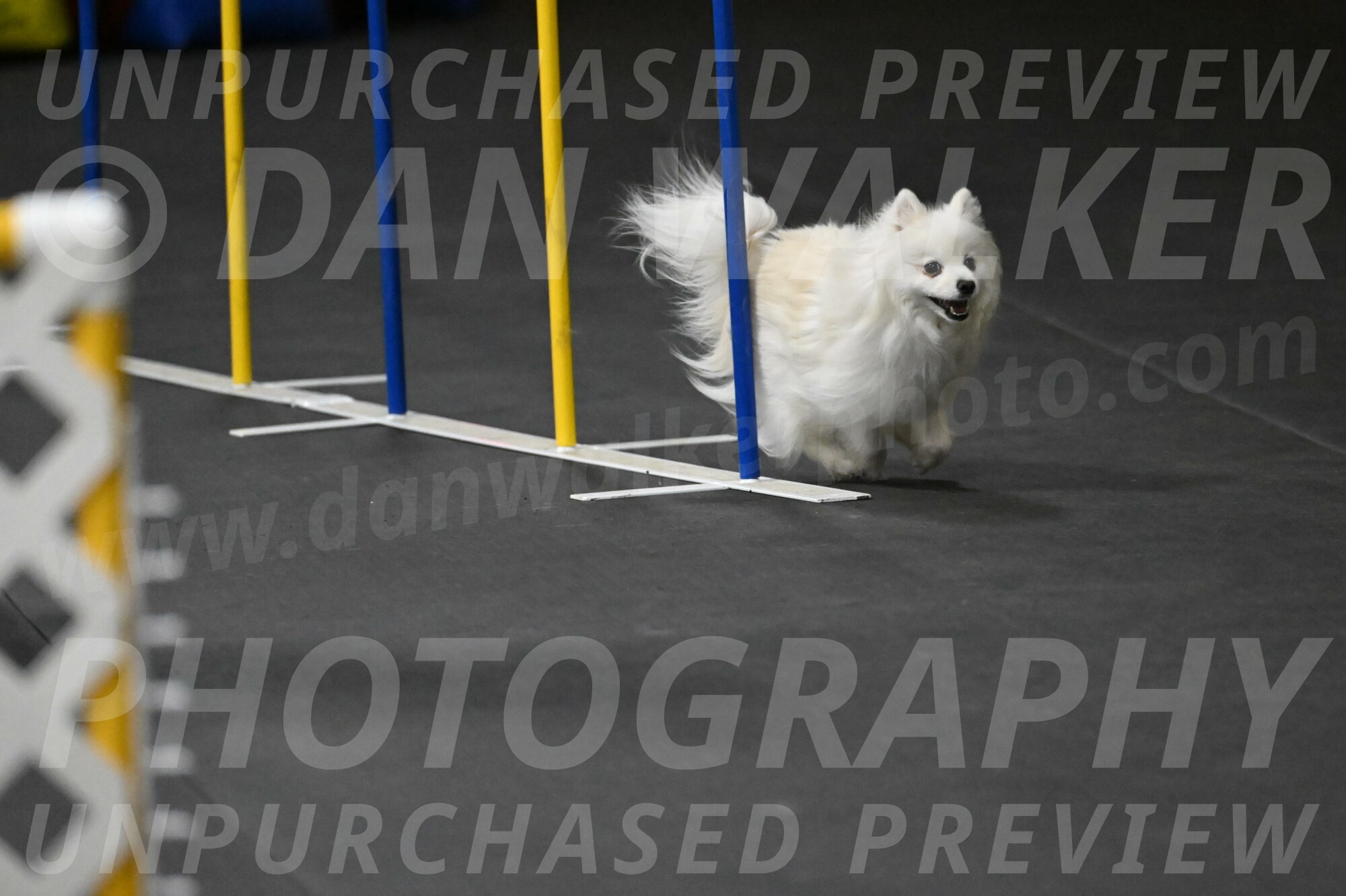 Zoey-Schneider-14520