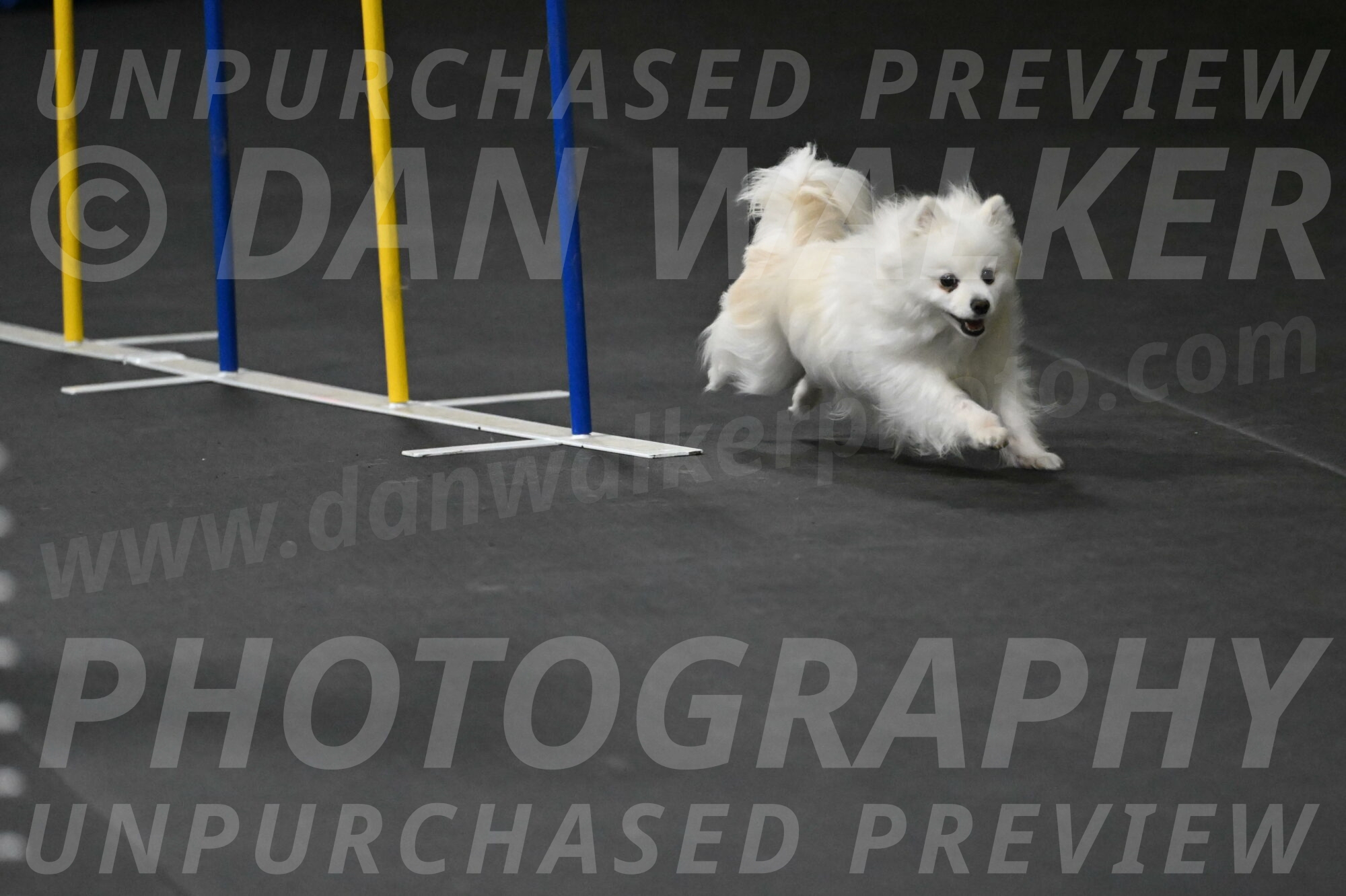 Zoey-Schneider-14521