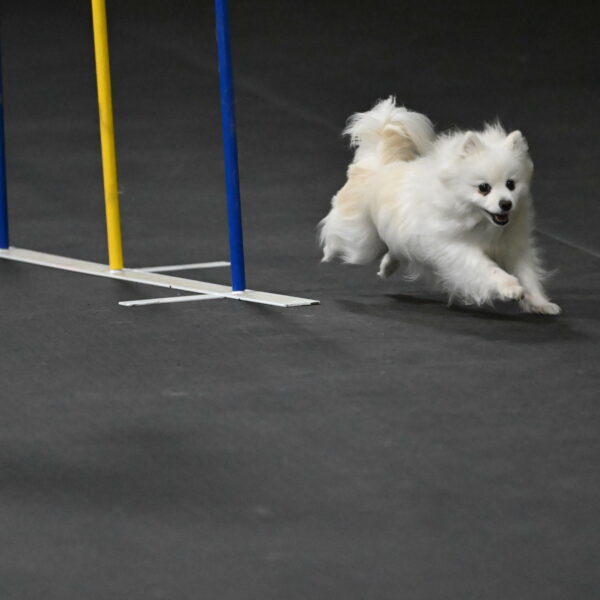 Zoey-Schneider-14521