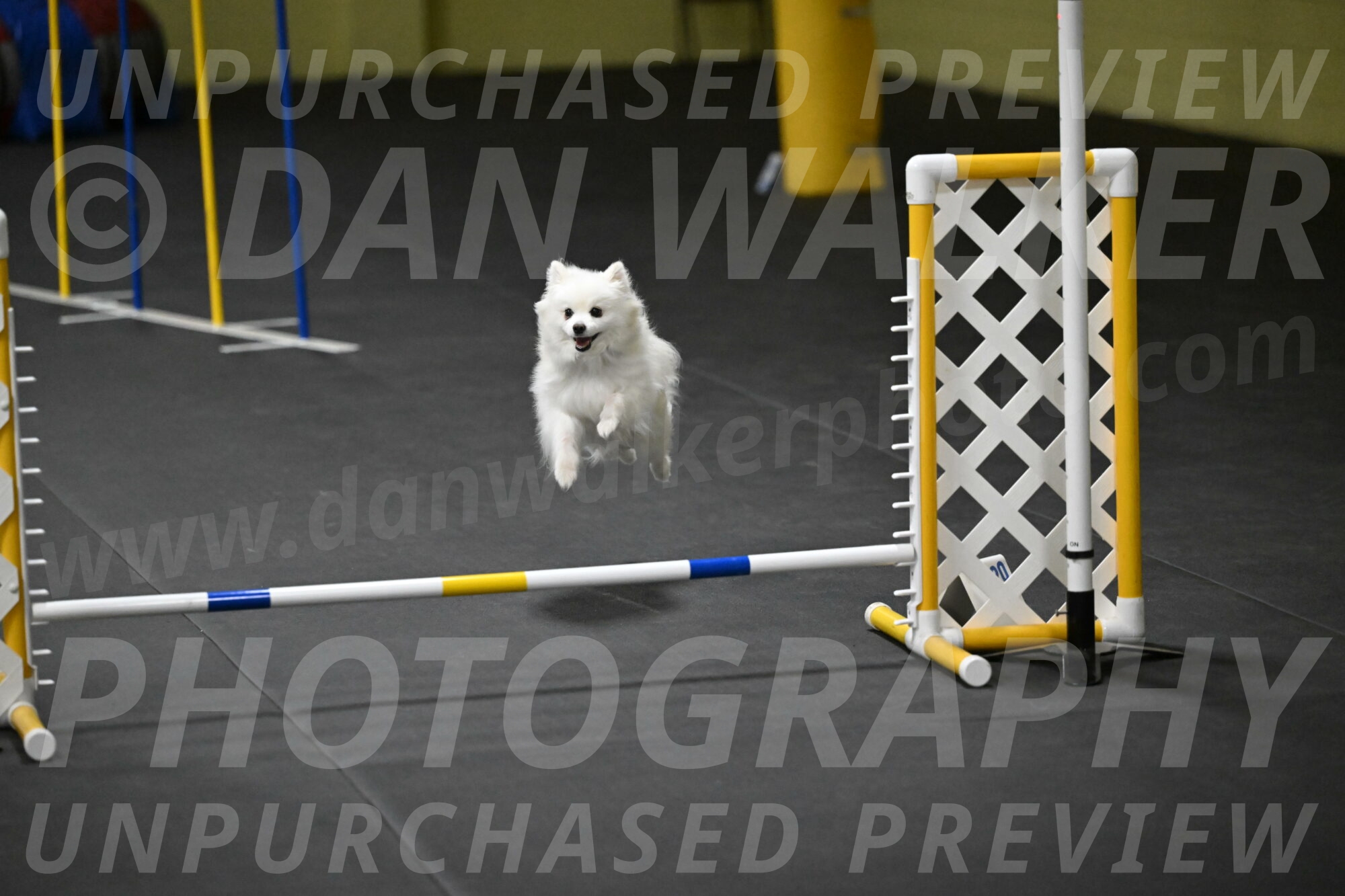 Zoey-Schneider-14526