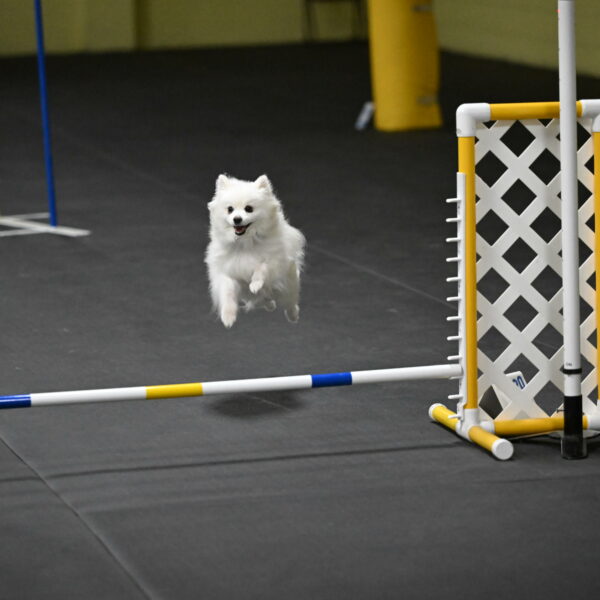 Zoey-Schneider-14526