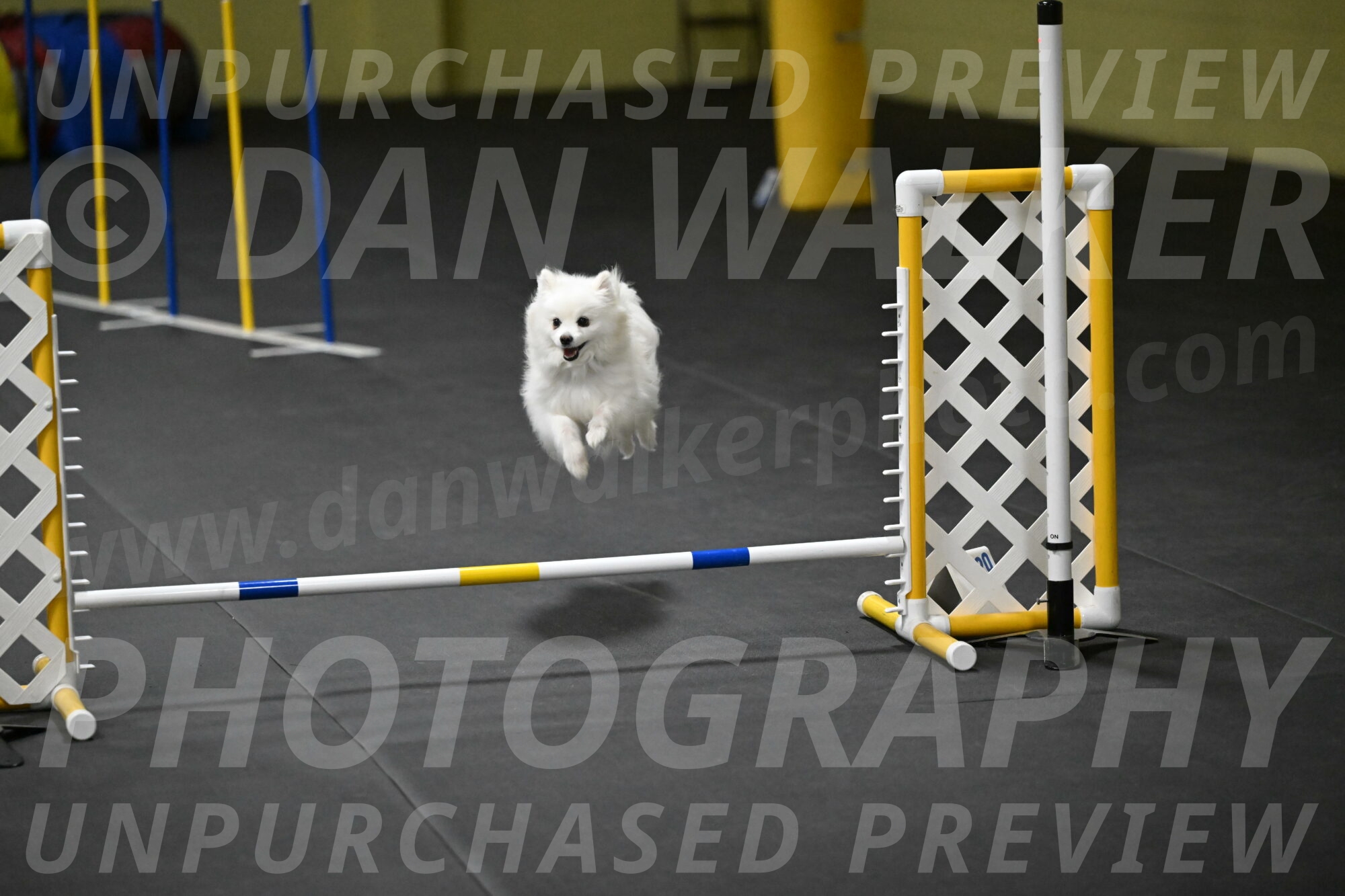 Zoey-Schneider-14527