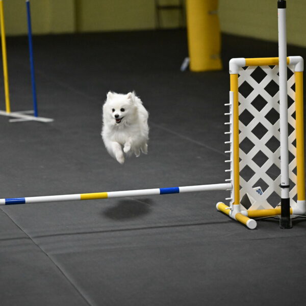 Zoey-Schneider-14527