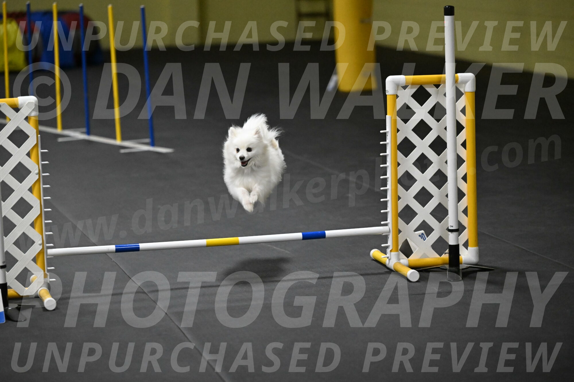 Zoey-Schneider-14528