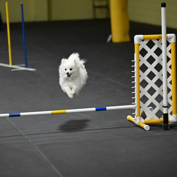 Zoey-Schneider-14528