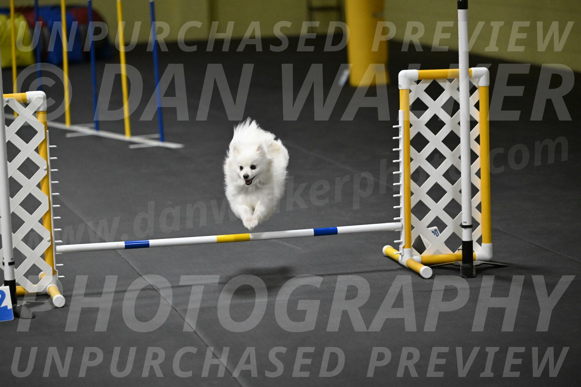 Zoey-Schneider-14529