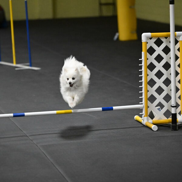 Zoey-Schneider-14529