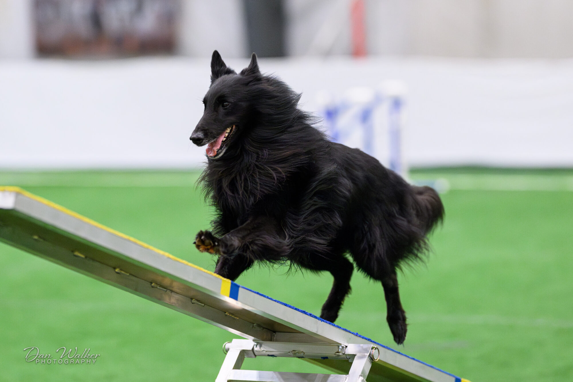 Oscar-Martha-Caldwell-06086-Enhanced-NR