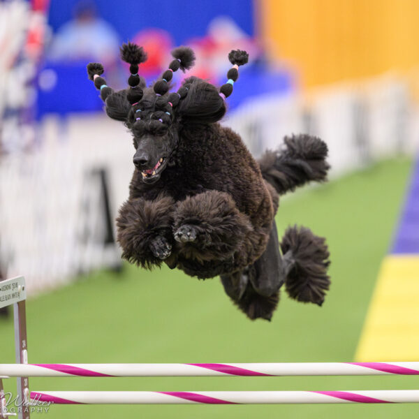 NOV-STD-ALL_9969-Enhanced-NR-scaled