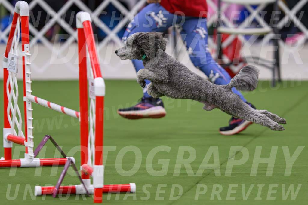 DJW_2822-Enhanced-NR