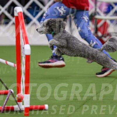 DJW_2822-Enhanced-NR