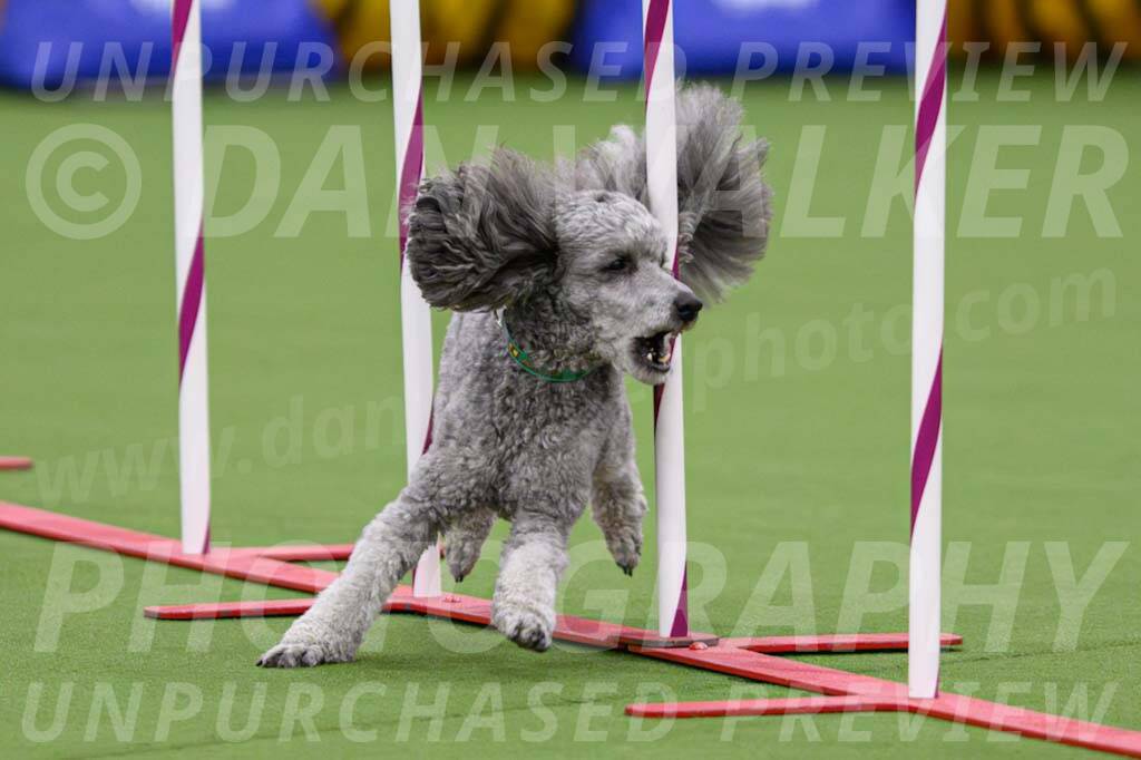 DJW_2851-Enhanced-NR