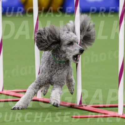 DJW_2851-Enhanced-NR