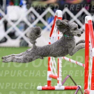 DJW_2880-Enhanced-NR