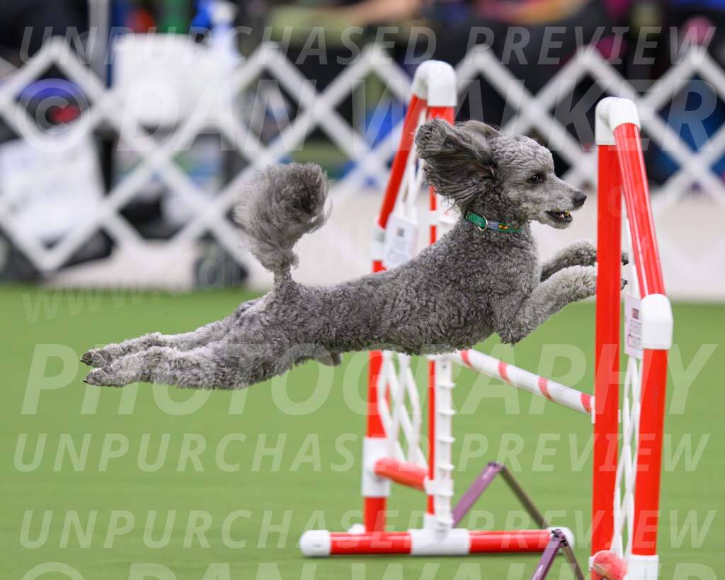 DJW_2880-Enhanced-NR