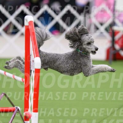 DJW_2882-Enhanced-NR