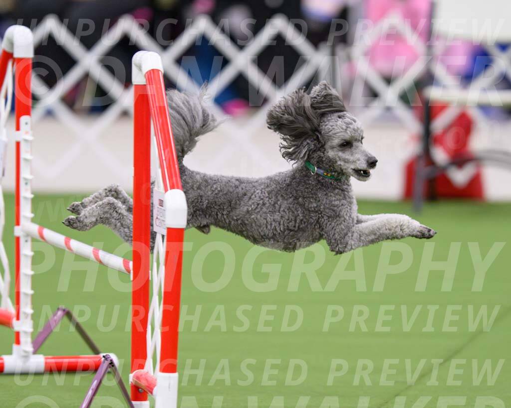 DJW_2882-Enhanced-NR