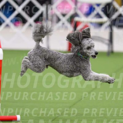 DJW_2883-Enhanced-NR