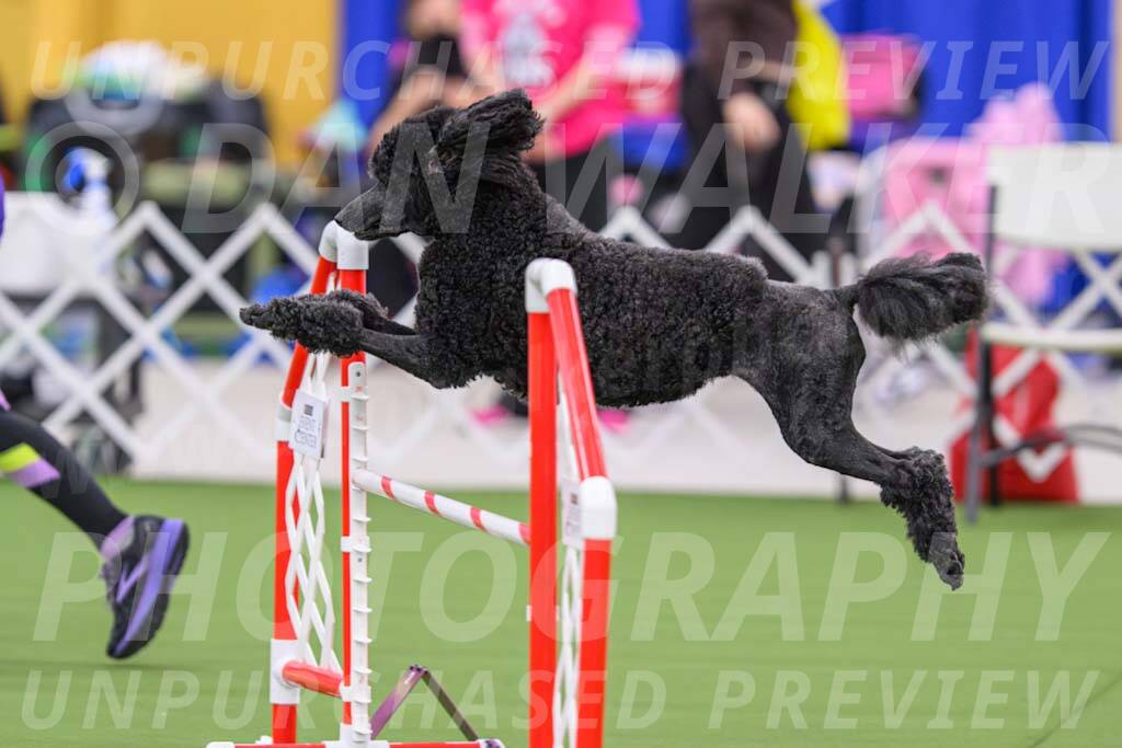 DJW_1293-Enhanced-NR